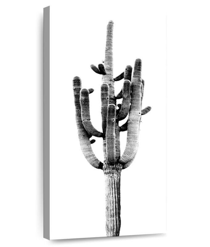 Saguaro noir et blanc II, H 36 po x l 18 po