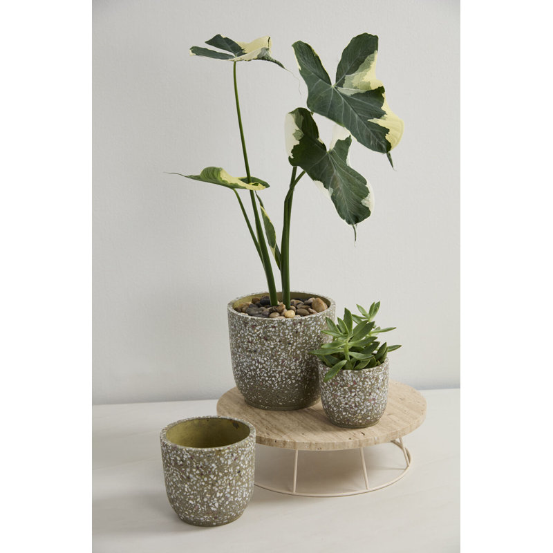 Verde Pot 7"x 6.5"