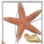 Wall Decor on Metal