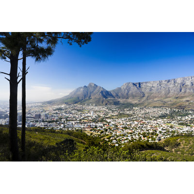 Cape Town by Rapideye