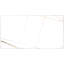 Intrinsèque 24 po x 48 po Carreau de porcelaine