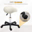 Chasie Adjustable Height Lab Stool Wheels-869343074