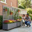 Planter Box-1351856875-1351856876