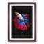 Siamese Fighting Fish - Picture Frame Graphic Art Print-56856768-56856773