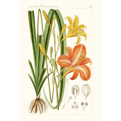 Bright Botanicals VIII - Wrapped Canvas Painting