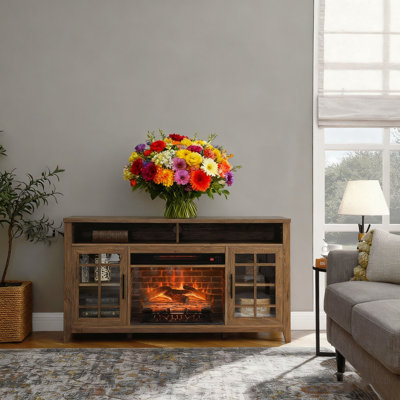 55 Inch TV Stand,Electric Fireplace KD Inserts Heater, by Ophelia & Co.