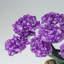 Custom - Genuine Amethyst Clustered Gemstone Tree On Citrine Matrix (The Empowerment Tree)
