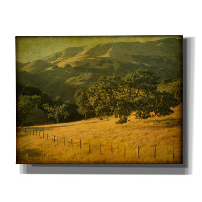 «Oak And Fence» par William Guion, art mural sur toile