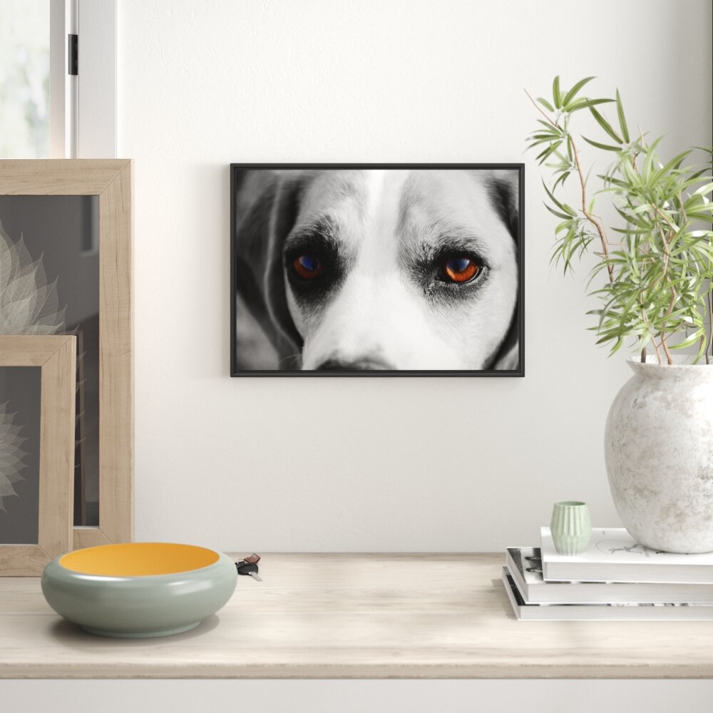 Gerahmtes Wandbild große treue Beagle-Augen