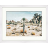View Of Joshua Tree Print