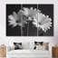 Ensemble de décorations murales monochromes en noir et blanc Blais Daisy Photo IV-107188529-107188527