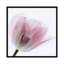 « inside out iv », reproduction sur toile-31860147-73205540-73205541