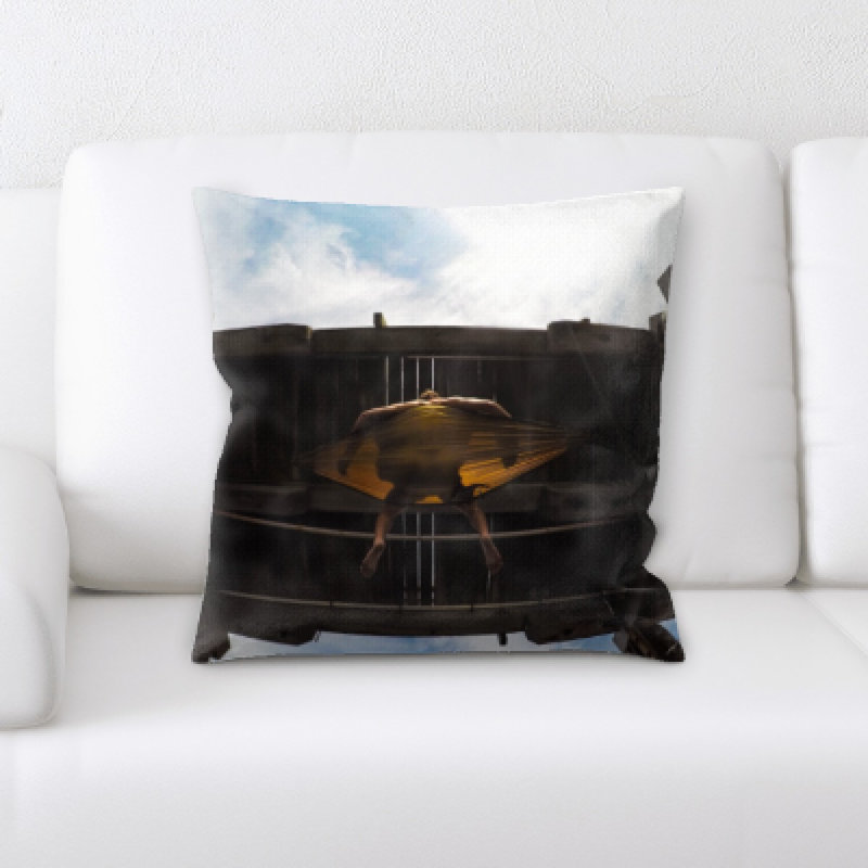 Coussin décoratif Go Pro