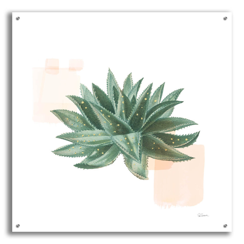 «Desert Color Succulent» 2 po par Sue Schlabach, art mural en verre acrylique, H 36 po x l 36 po x P 0,2 po