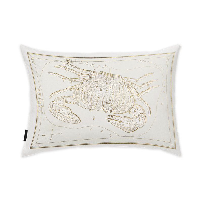 Housse et insert de coussin rectangulaire Zodiac
