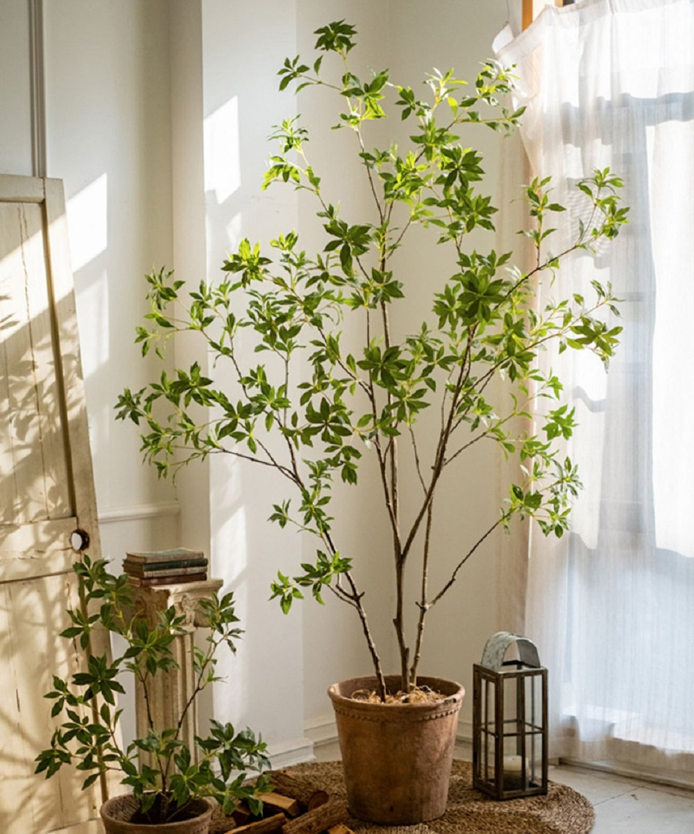 Gant Faux Tree, 94" H x 62" W x 8" D