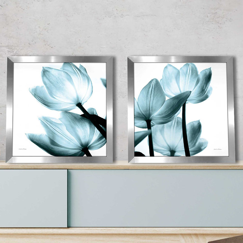 " Translucent Tulips II Sq Aqua Crop " by Debra Van Swearingen 2 - Pieces, No Mat, 16.5" H x 33" W x 1" D