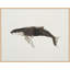 Ocean Creatures 2 Print by Kim Kimbro-774029235