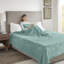 Couverture pour lit chauffante chauffante pelucheuse ultra-douce avec 20 réglages de chaleur-36173369-18681759