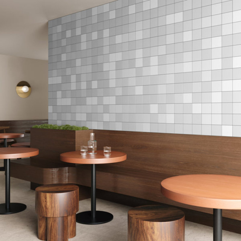 Born 5X5 Matte Porcelain Tile, White
