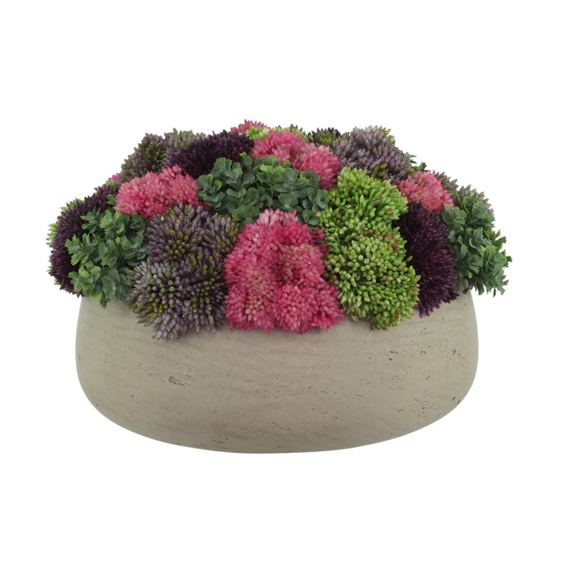 Sedum Arrangement in Fiberstone Planter, Light Gray