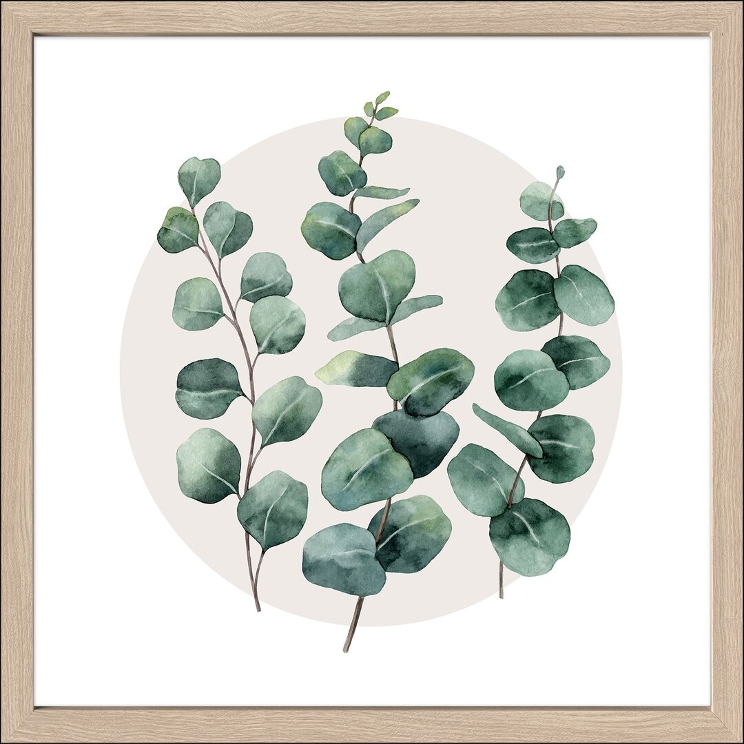 Gerahmtes Poster Diff. Eucalyptus Branches I