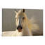 Elegance by Tony Stromberg - Single Picture Frame Print-21469138-74539016-74539017