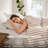Etta All Season Striped 3PCS Duvet Set-111537094-111537092