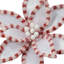 22" Candy With Snow Glitter Poinsettia Stem