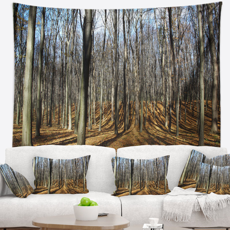 Toile d'ombre du soleil dans la forêt d'automne, H 50 po x l 60 po