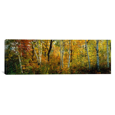 " Lac Du Flambeau Wisconsin "