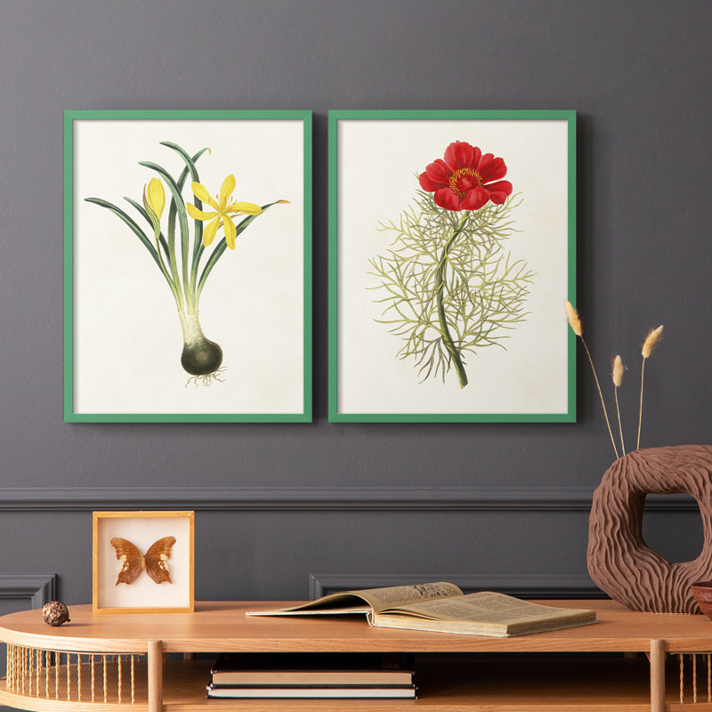 «Flowers of the Seasons VI», reproduction encadrée de qualité supérieure - prête à être accrochée - aucun clou requis - aucun clou requis