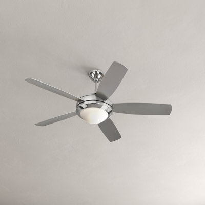 Stoller 44'' Ceiling Fan with LED Lights