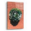 " Utah - Cactus 3 "-706084566