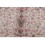 Tapis de salon traditionnel 7 x 10