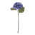 Purple is out of stock