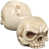 Ancient Ivory is out of stock