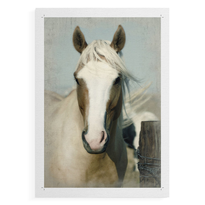 Cheval non reproductible - impression sur toile seulement - non encadrée, H 18 po x l 12 po