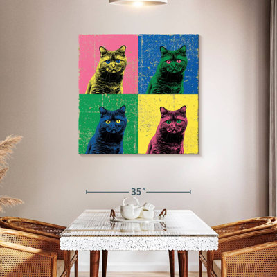 Brampt British Shorthair Pop