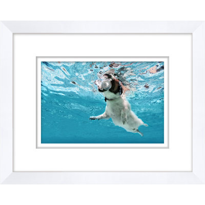 Disco Dog Paddle 2 Framed Photographic Print