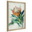 Protea - Peinture-1771372425-1771372428