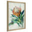 Protea - Peinture-1771372429-1771372428