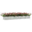 Alezander Metal Raised Flower Bed-339152140