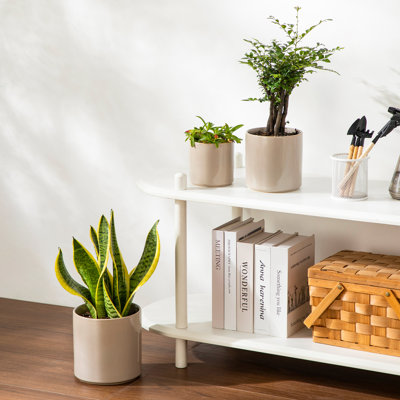 ZTHPOT Ceramic Pot Planter