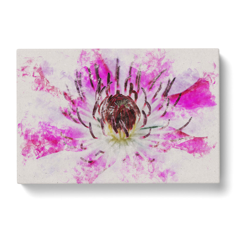 Pink Clematis Flower - Wrapped Canvas, 60cm H x 91cm W x 3cm D