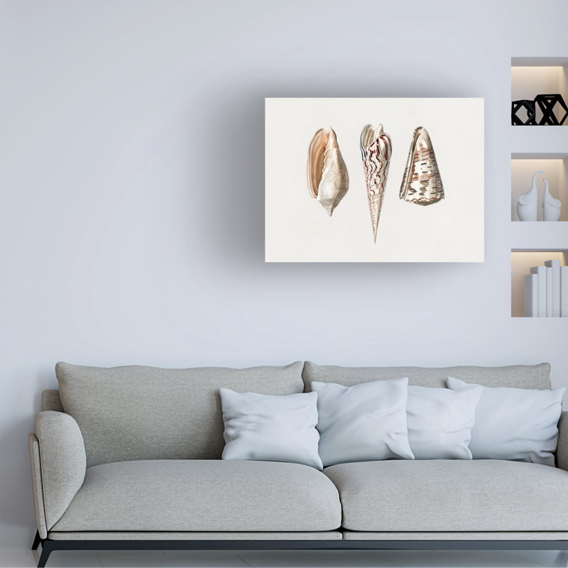 Art sur toile, Charles Dessalines D Three Mollusks, H 14 po x l 19 po