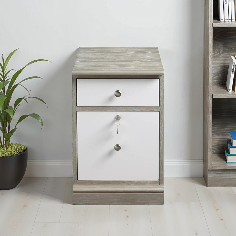 Samul 24" H 2-Drawer Wood Mobile File Cabinet, White/Oak