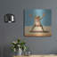 Art mural en métal luxueux «Gym Frog J Jump Jacks» par Lucia Heffernan, 24 po x 24 po-1320911789