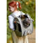 Adventure Cat Carrier Backpack