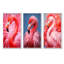 Ensemble de salon mural Theophania - Flamingo-103010685-103010689